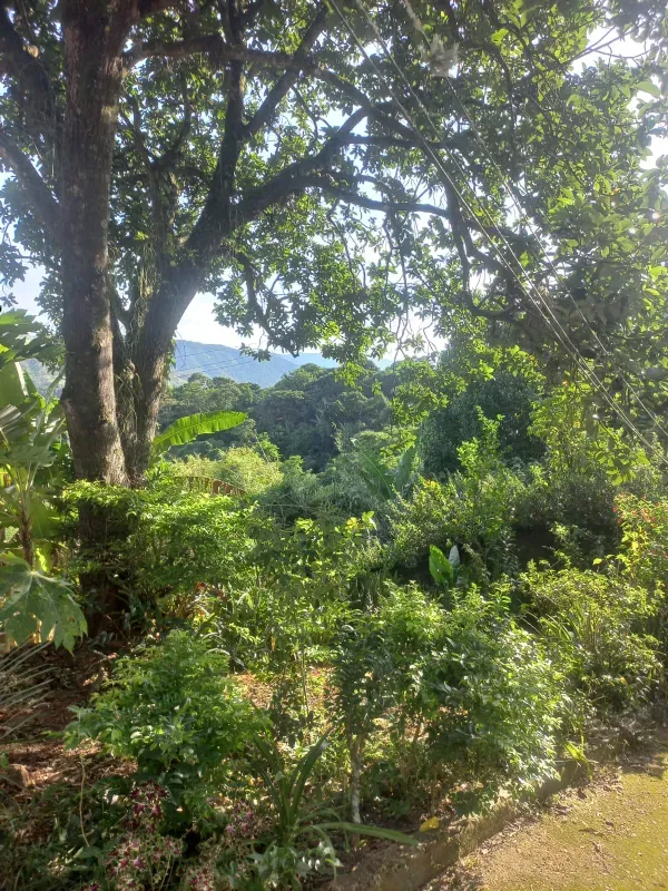 Sítio em Rio de Janeiro/Rio de Janeiro — Ref X0UV1Y — Imagem 6