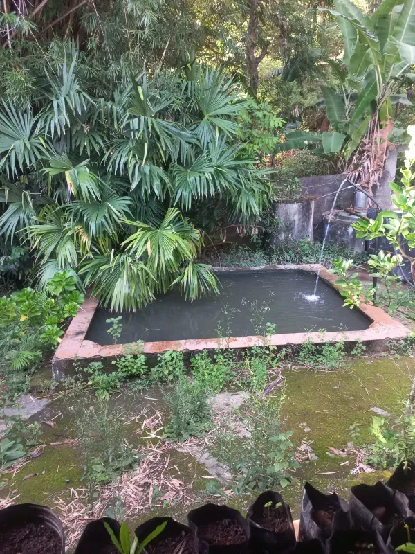 Sítio em Rio de Janeiro/Rio de Janeiro — Ref X0UV1Y — Imagem 4