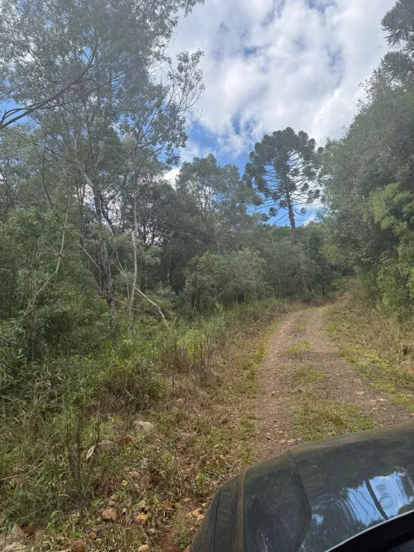 Sítio em Caçador/Santa Catarina — Ref 3O9YHB — Imagem 5