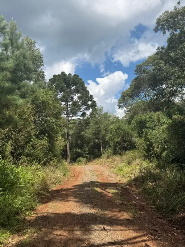 Sítio em Caçador/Santa Catarina — Ref 3O9YHB — Imagem 7
