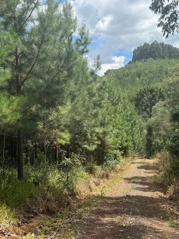 Sítio em Caçador/Santa Catarina — Ref 3O9YHB — Imagem 9