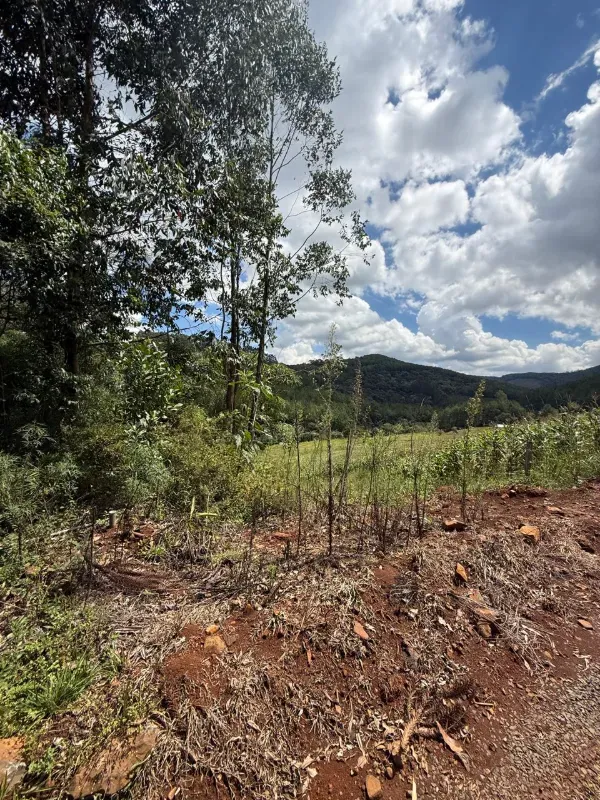 Sítio em Caçador/Santa Catarina — Ref 3O9YHB — Imagem 10