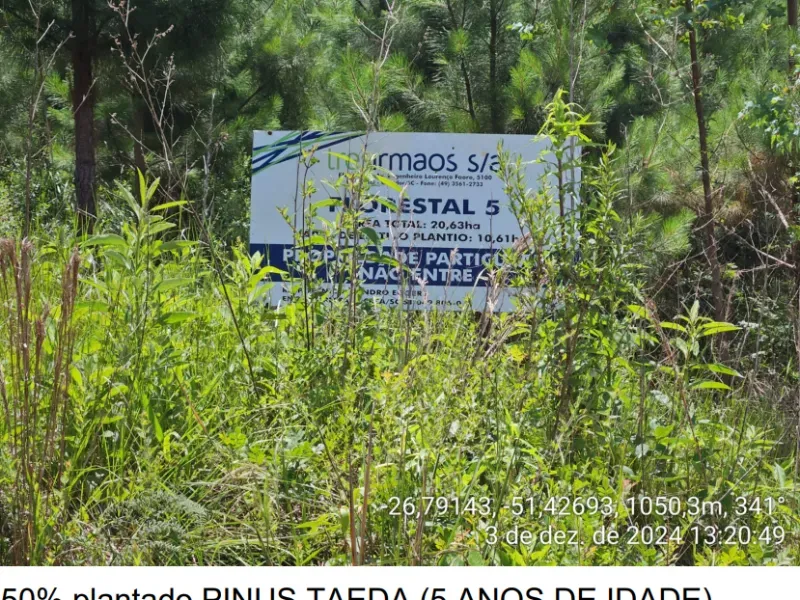 Sítio em Caçador/Santa Catarina — Ref 3O9YHB — Imagem 20