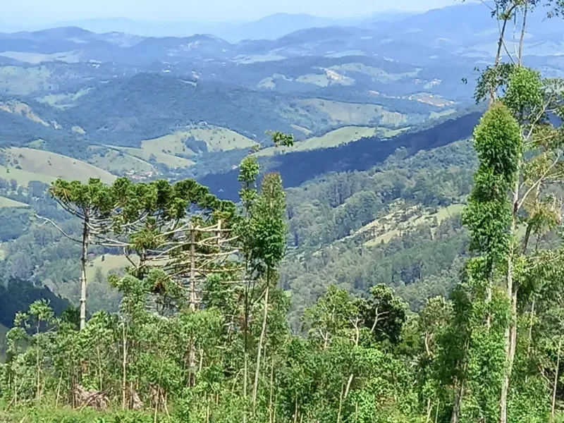Sítio em Campos do Jordão/São Paulo — Ref W4FXR7 — Imagem 8