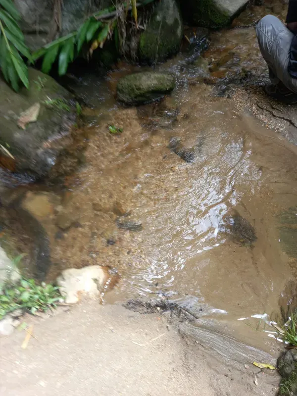 Sítio em Campos do Jordão/São Paulo — Ref W4FXR7 — Imagem 9