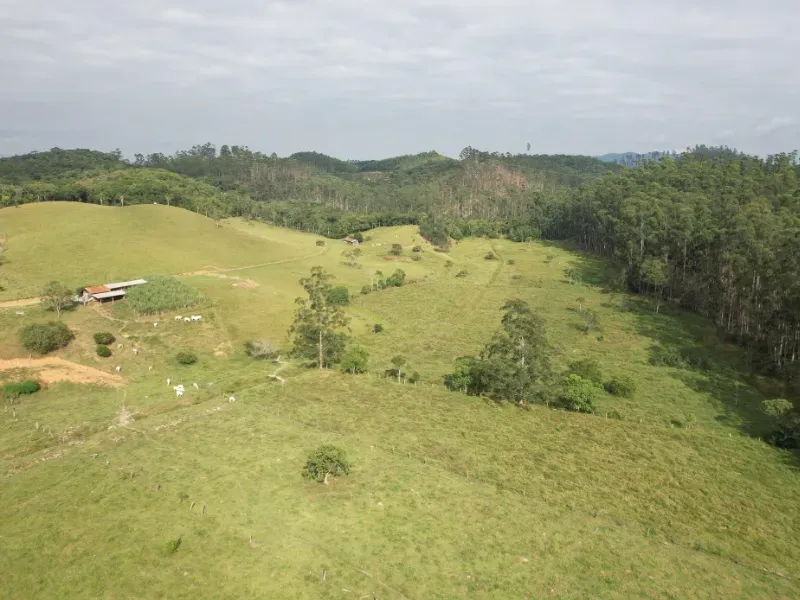 Sítio em Canelinha/Santa Catarina — Ref IM46J1 — Imagem 5