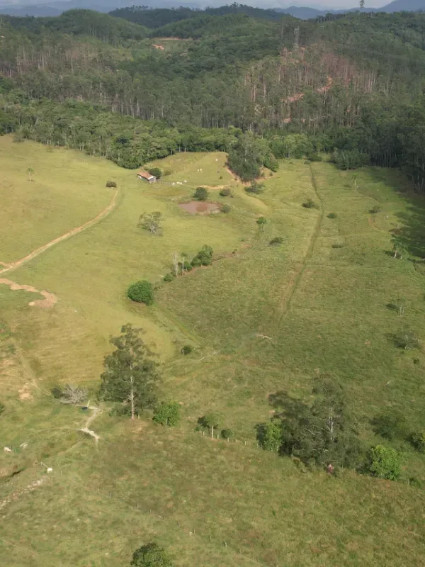 Sítio em Canelinha/Santa Catarina — Ref IM46J1 — Imagem 7
