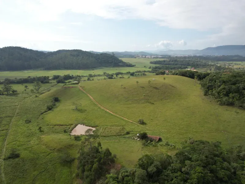Sítio em Canelinha/Santa Catarina — Ref IM46J1 — Imagem 8