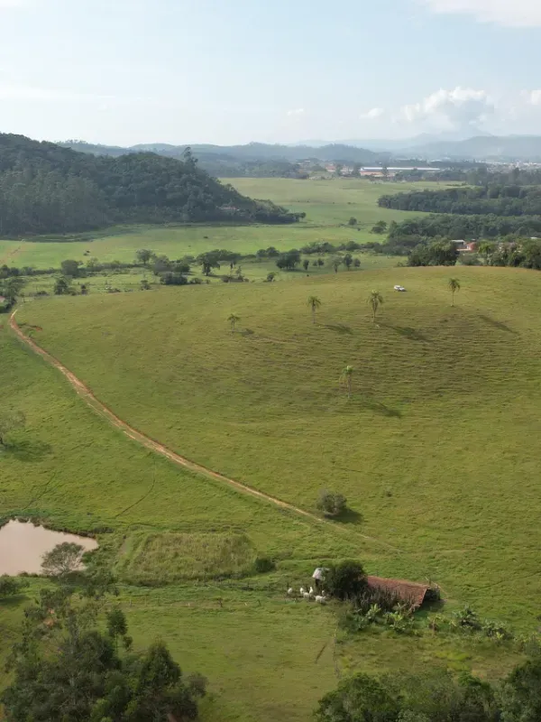 Sítio em Canelinha/Santa Catarina — Ref IM46J1 — Imagem 9