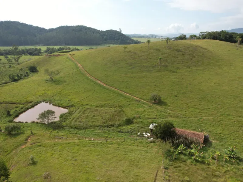 Sítio em Canelinha/Santa Catarina — Ref IM46J1 — Imagem 11