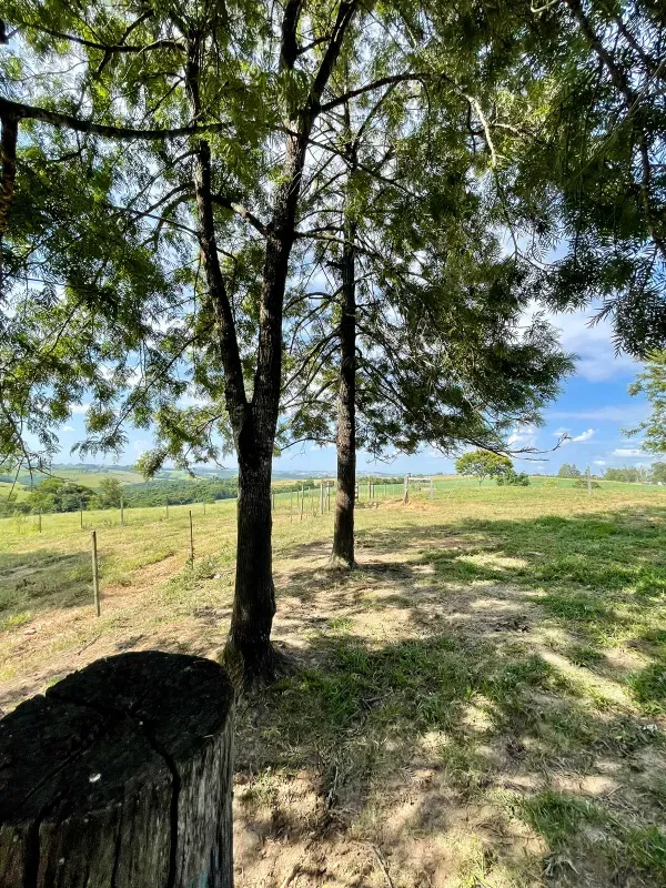 Sítio em Figueira/Paraná — Ref MIUD0G — Imagem 4