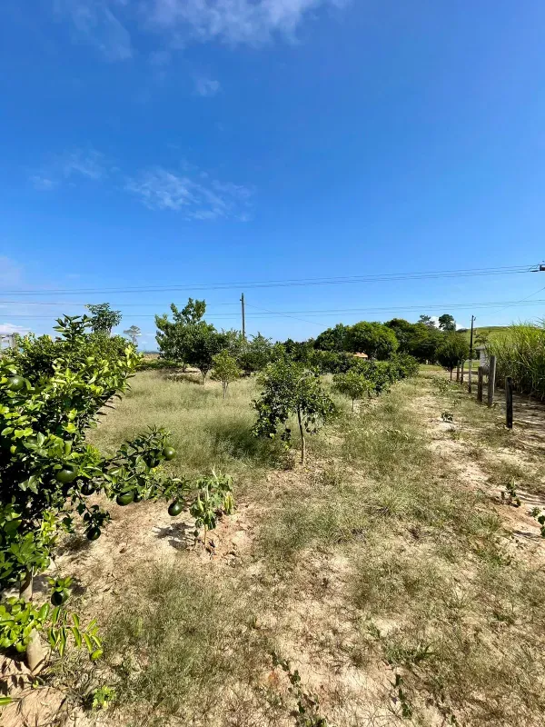 Sítio em Figueira/Paraná — Ref MIUD0G — Imagem 6