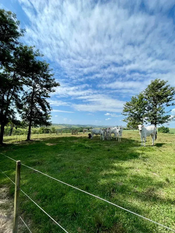 Sítio em Figueira/Paraná — Ref MIUD0G — Imagem 7
