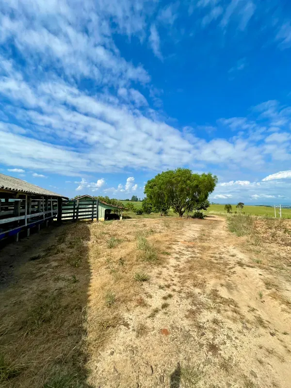 Sítio em Figueira/Paraná — Ref MIUD0G — Imagem 10