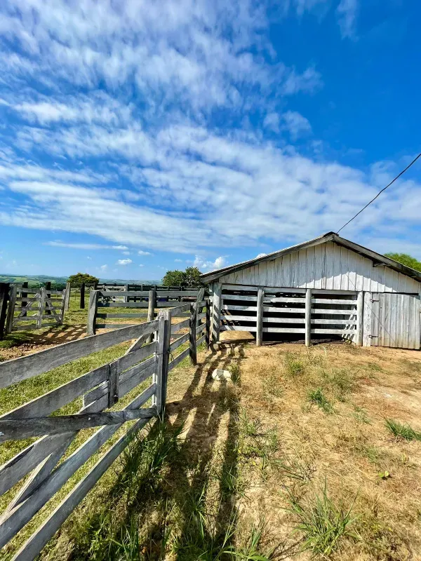 Sítio em Figueira/Paraná — Ref MIUD0G — Imagem 11