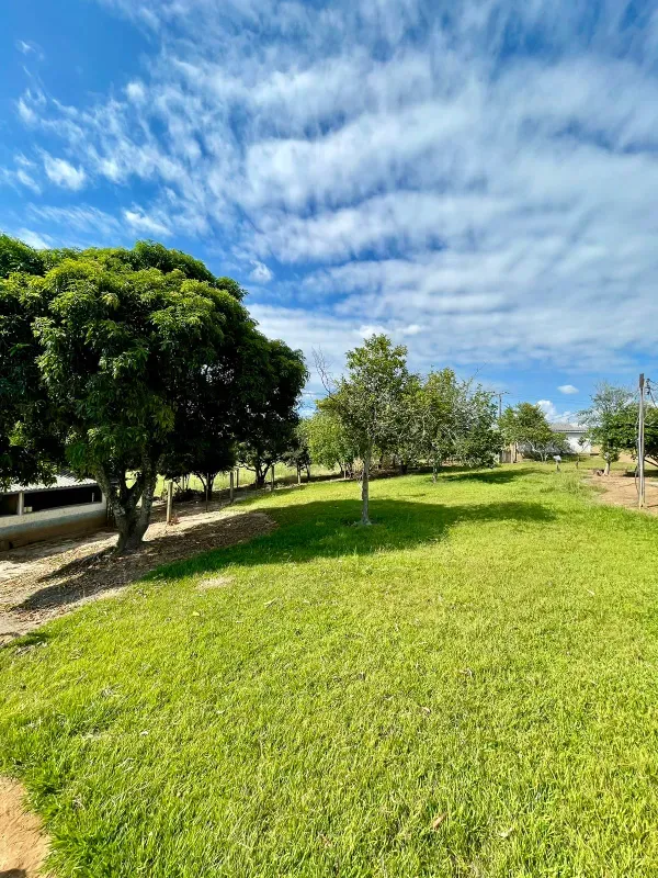 Sítio em Figueira/Paraná — Ref MIUD0G — Imagem 15