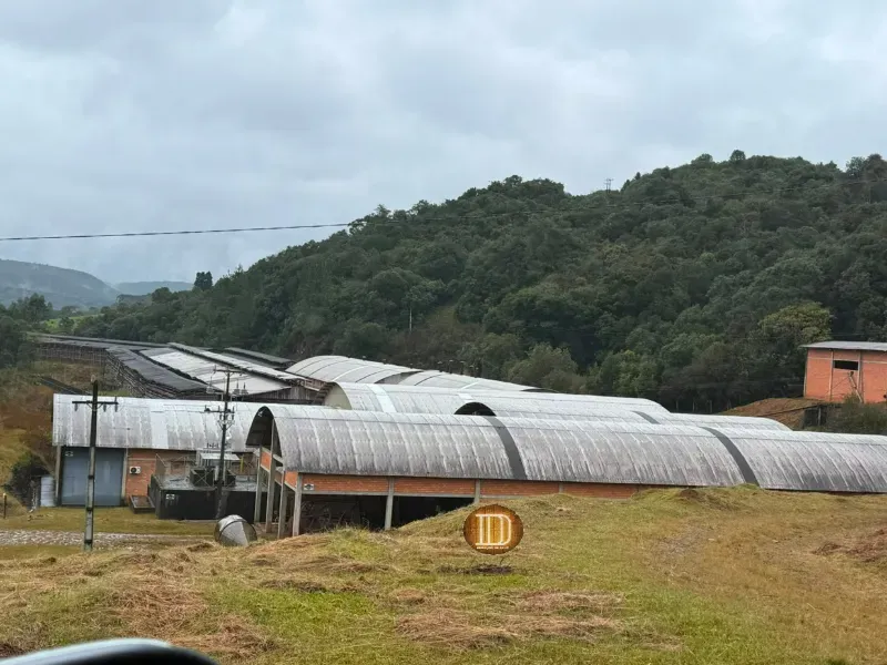Sítio em Guarapuava/Paraná — Ref MJP5P7 — Imagem 4
