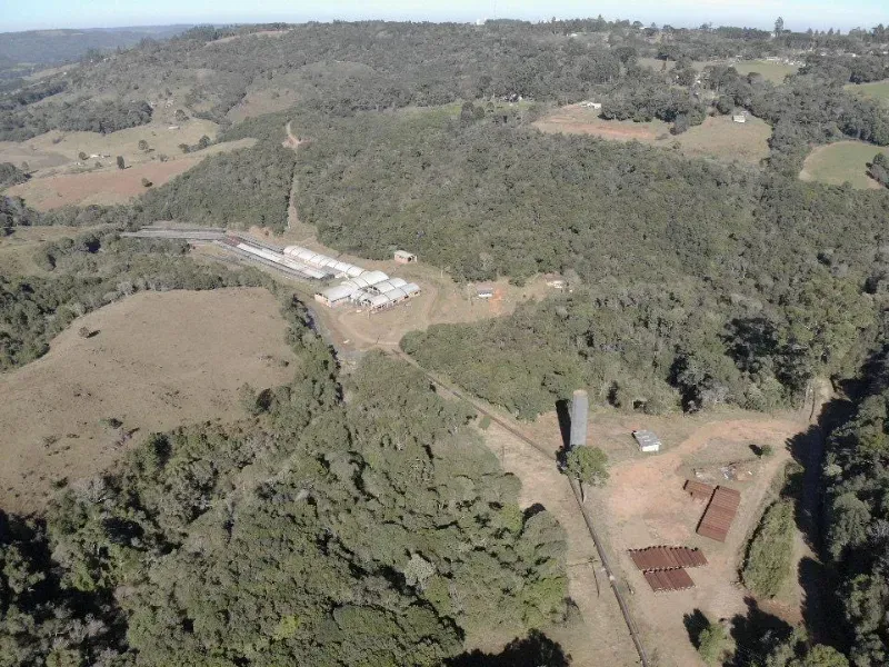 Sítio em Guarapuava/Paraná — Ref MJP5P7 — Imagem 10