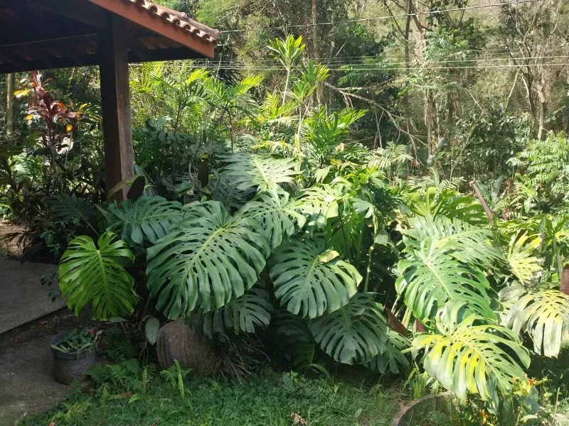 Sítio em Jundiaí/São Paulo — Ref OGT809 — Imagem 5