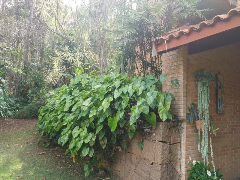 Sítio em Jundiaí/São Paulo — Ref OGT809 — Imagem 7