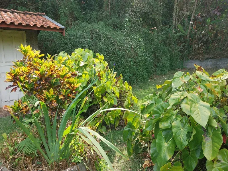 Sítio em Jundiaí/São Paulo — Ref OGT809 — Imagem 40