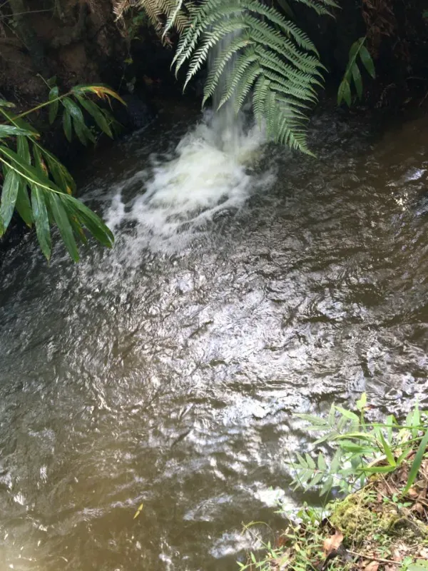 Sítio em Piedade/São Paulo — Ref X9A4Z4 — Imagem 47