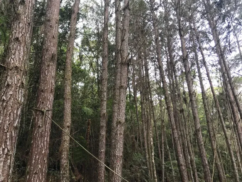 Sítio em Piedade/São Paulo — Ref X9A4Z4 — Imagem 50