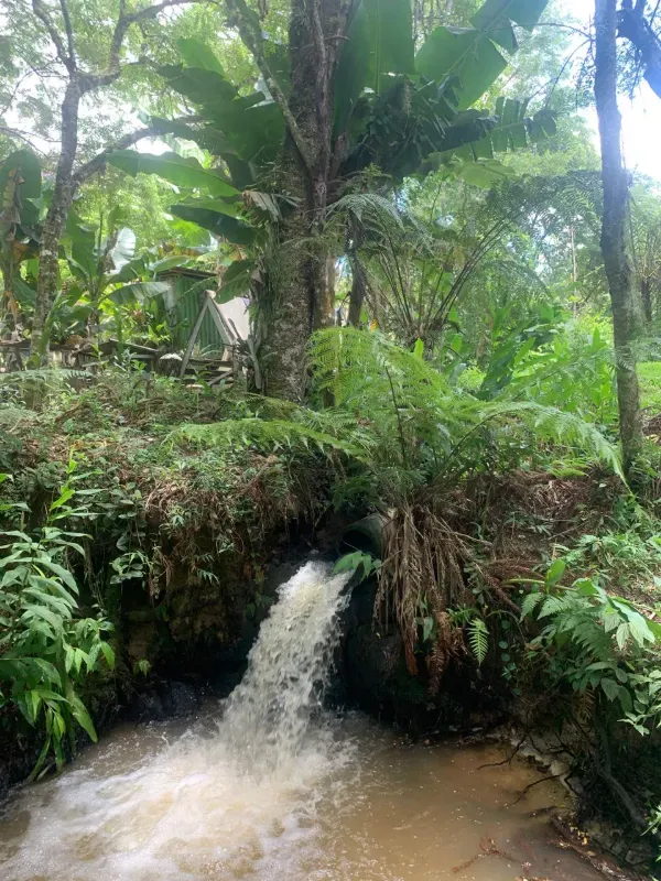 Sítio em Piedade/São Paulo — Ref X9A4Z4 — Imagem 52