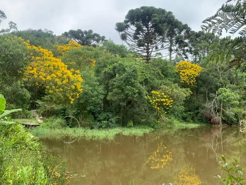 Sítio em Piedade/São Paulo — Ref X9A4Z4 — Imagem 61