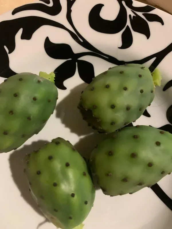 Sítio em Piedade/São Paulo — Ref X9A4Z4 — Imagem 62