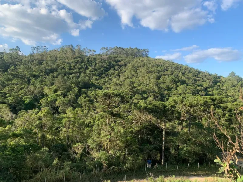Sítio em Piedade/São Paulo — Ref X9A4Z4 — Imagem 68