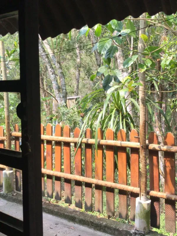 Sítio em Piedade/São Paulo — Ref X9A4Z4 — Imagem 75