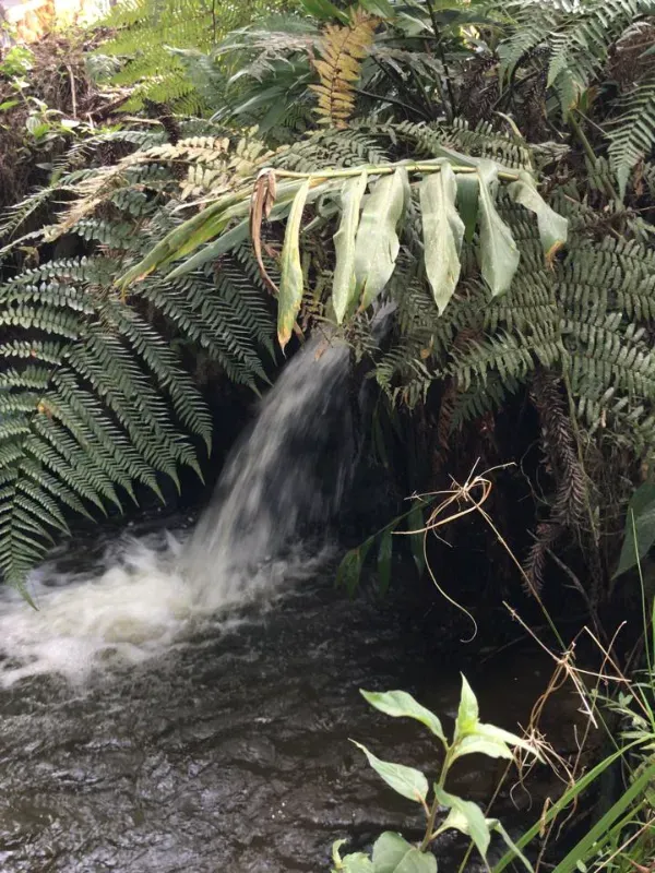 Sítio em Piedade/São Paulo — Ref X9A4Z4 — Imagem 79