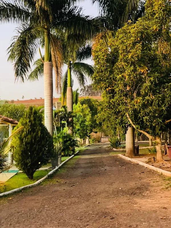 Sítio em Siqueira Campos/Paraná — Ref O3UXXG — Imagem 2