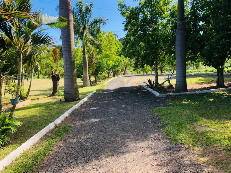 Sítio em Siqueira Campos/Paraná — Ref O3UXXG — Imagem 3