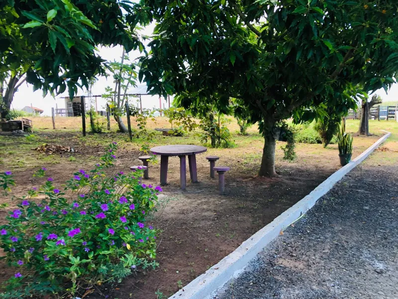 Sítio em Siqueira Campos/Paraná — Ref O3UXXG — Imagem 6