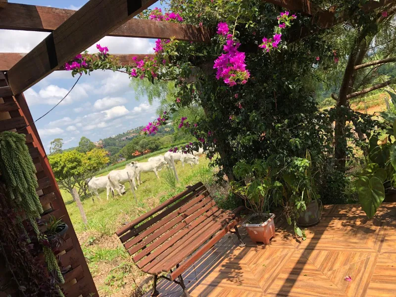 Sítio em Siqueira Campos/Paraná — Ref O3UXXG — Imagem 8