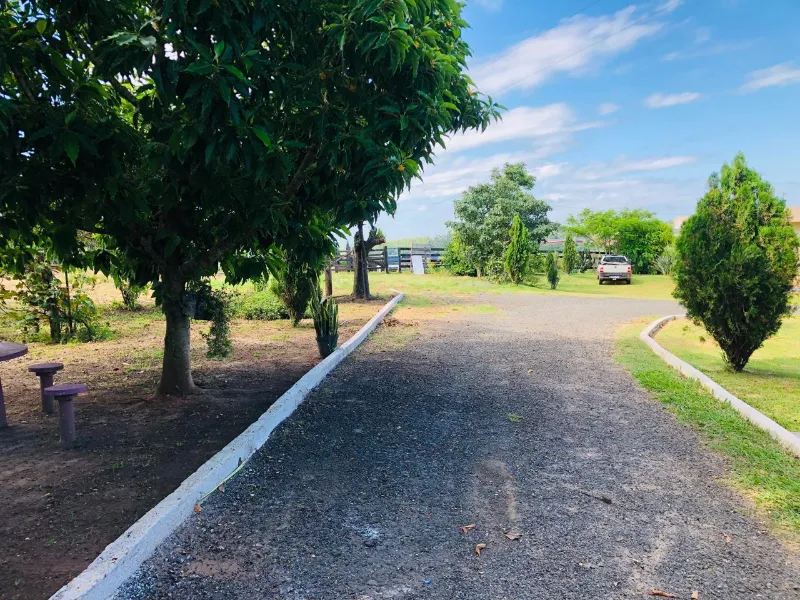 Sítio em Siqueira Campos/Paraná — Ref O3UXXG — Imagem 10