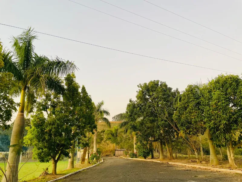 Sítio em Siqueira Campos/Paraná — Ref O3UXXG — Imagem 12