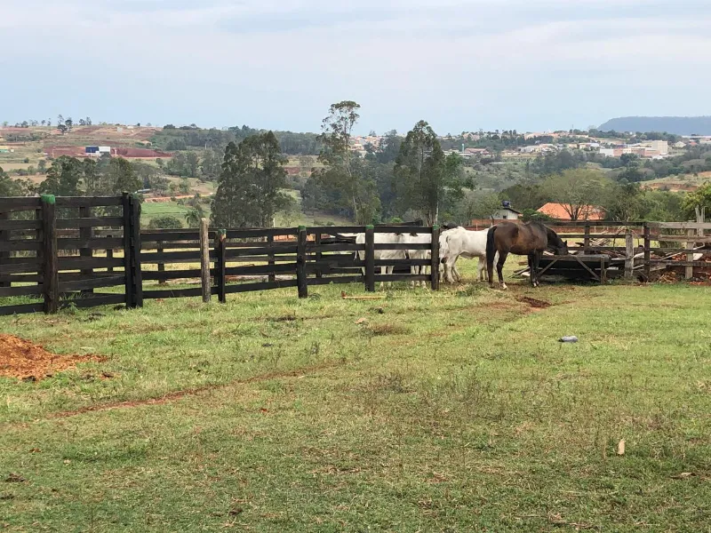 Sítio em Siqueira Campos/Paraná — Ref O3UXXG — Imagem 19