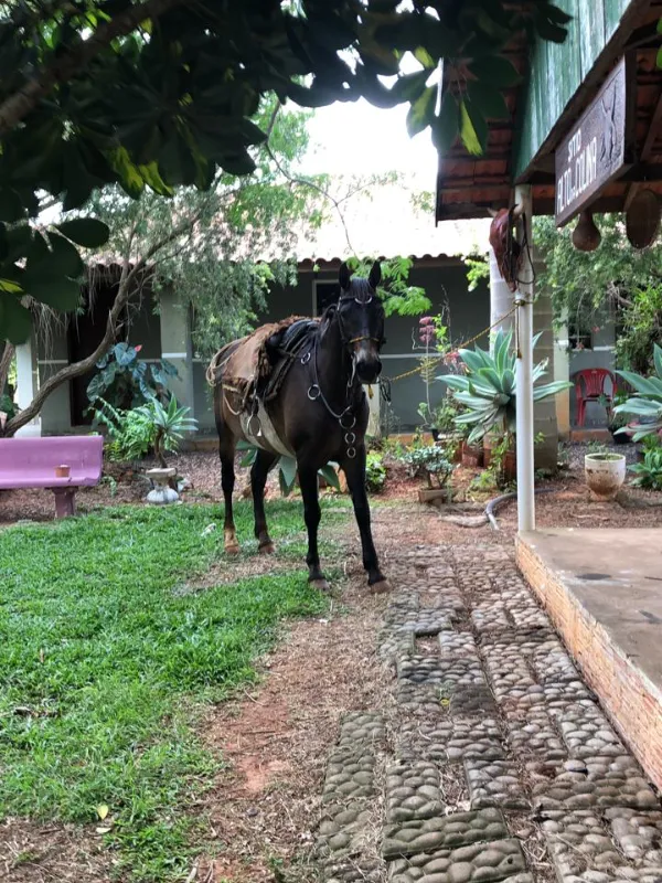 Sítio em Siqueira Campos/Paraná — Ref O3UXXG — Imagem 21