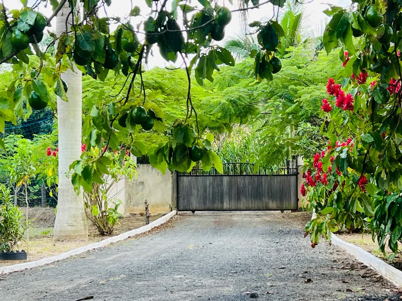 Sítio em Siqueira Campos/Paraná — Ref O3UXXG — Imagem 25