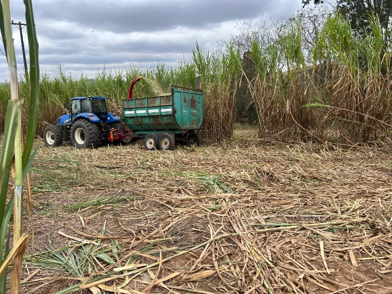 Sítio em Siqueira Campos/Paraná — Ref O3UXXG — Imagem 42