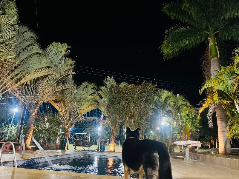 Sítio em Siqueira Campos/Paraná — Ref O3UXXG — Imagem 43