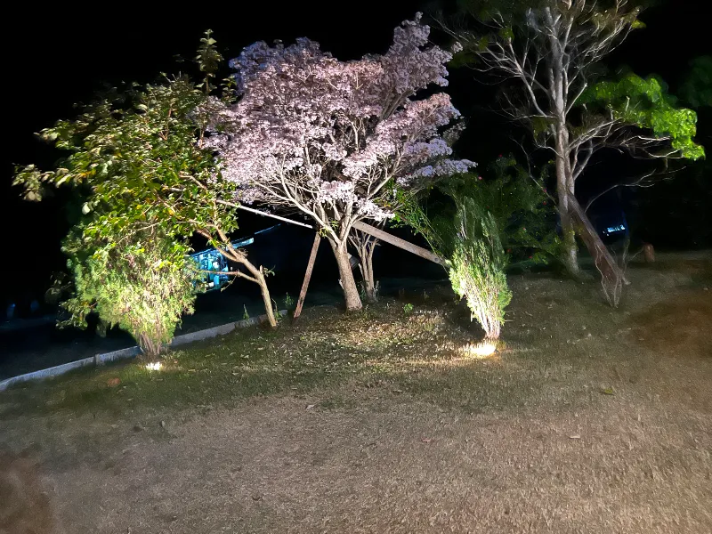 Sítio em Siqueira Campos/Paraná — Ref O3UXXG — Imagem 45