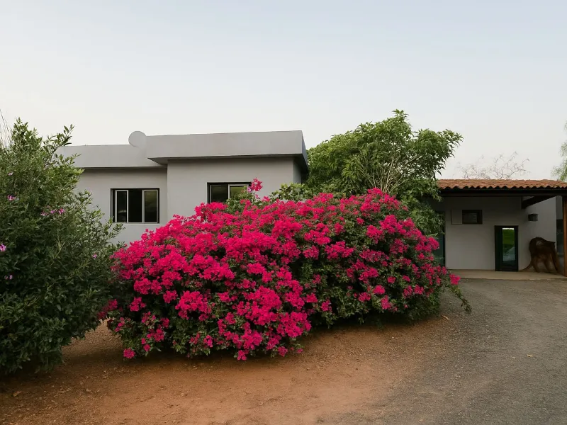 Sítio em Siqueira Campos/Paraná — Ref O3UXXG — Imagem 49
