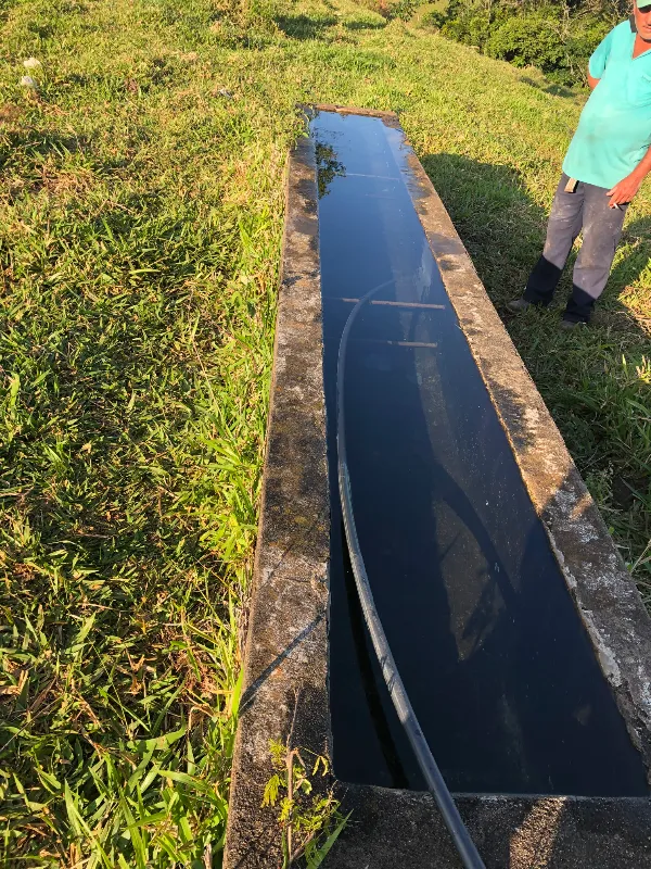 Sítio em Siqueira Campos/Paraná — Ref O3UXXG — Imagem 65