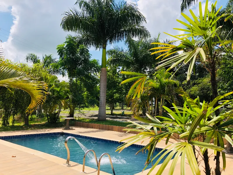 Sítio em Siqueira Campos/Paraná — Ref O3UXXG — Imagem 69