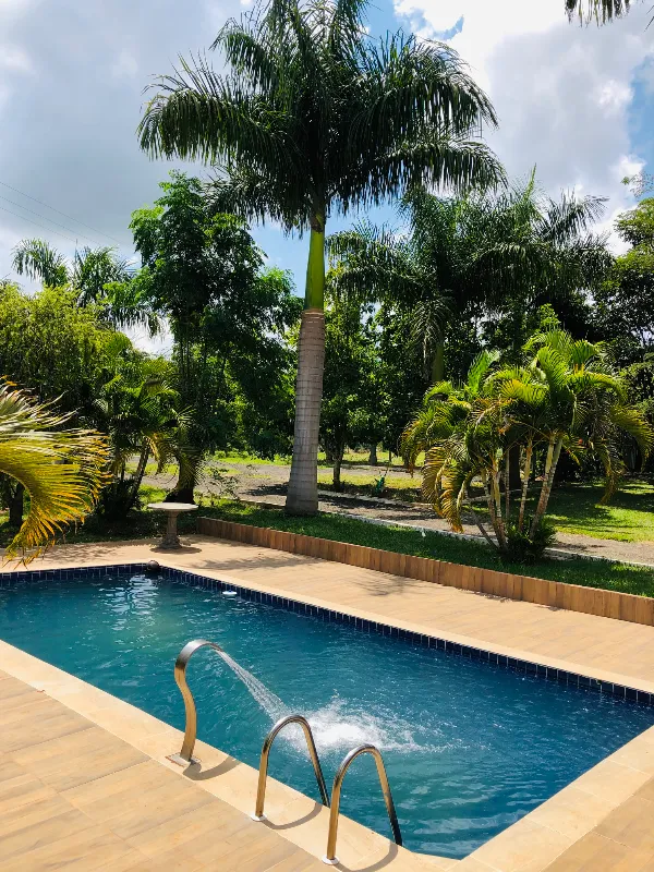 Sítio em Siqueira Campos/Paraná — Ref O3UXXG — Imagem 70