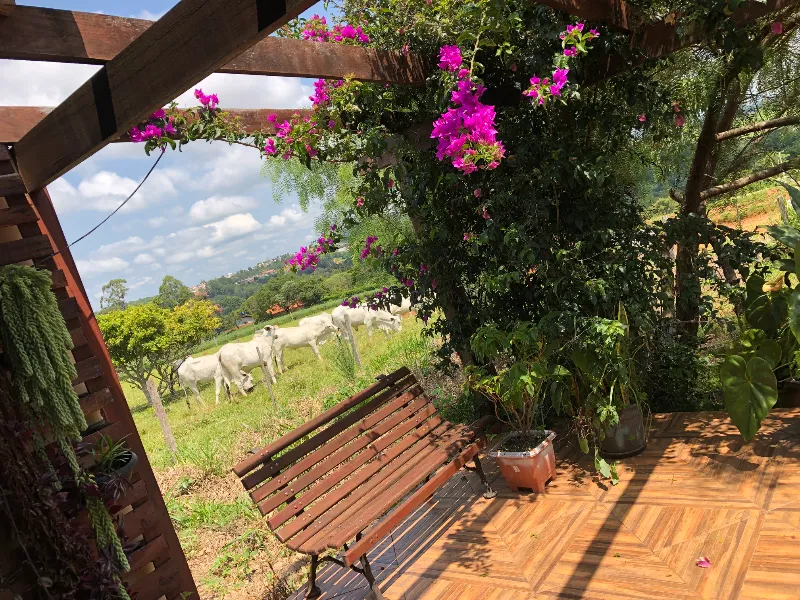 Sítio em Siqueira Campos/Paraná — Ref O3UXXG — Imagem 71